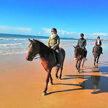 La Paradis Pera Otel 3*